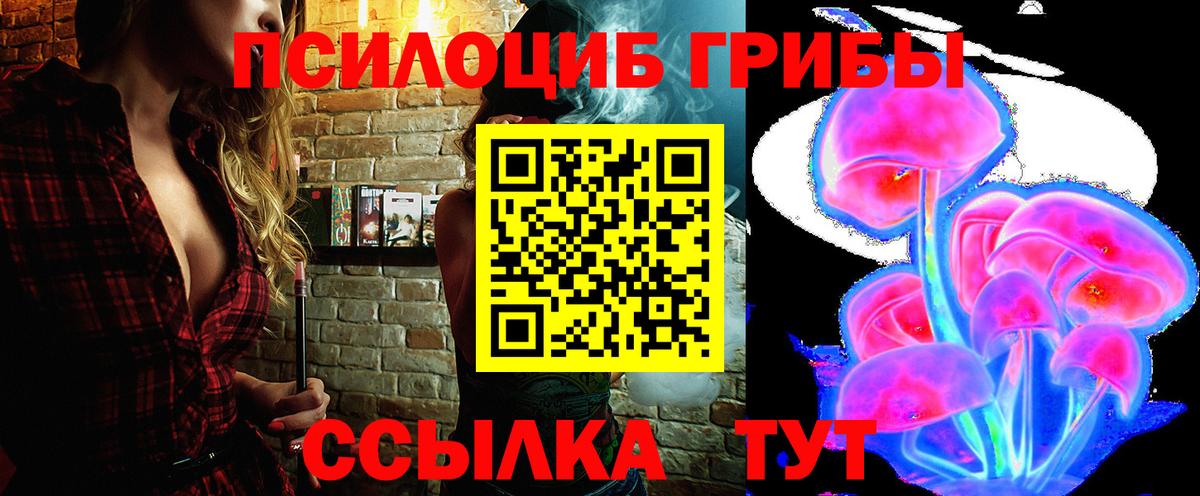 Казань  Псилоцибиновые грибы MAGIC MUSHROOMS  где найти   Вход с VPN 